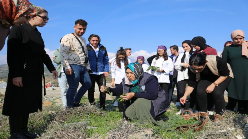 Hatay'da yenebilir otlar öğretildi