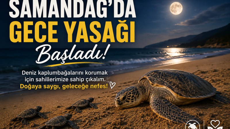 Samandağ’da Caretta Carettalar İçin Gece Yasağı Başladı