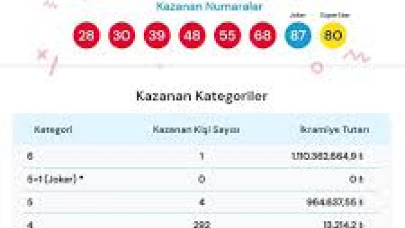 Bir gecede milyarder oldu: Loto şanslısı bakın hangi ilden