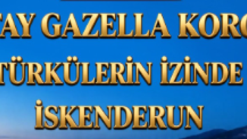 HATAY GAZELLA KOROSU İSKENDERUN’DA TÜRKÜLERLE BULUŞACAK