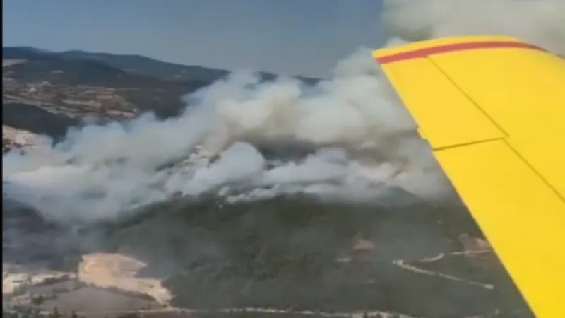 Sındırgı’da orman yangını! 6 uçak ve 6 helikopter havada